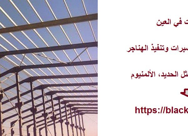 تركيب شبرات في العين