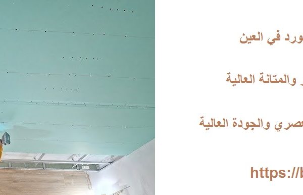 خدمة تركيب الجبس بورد في العين